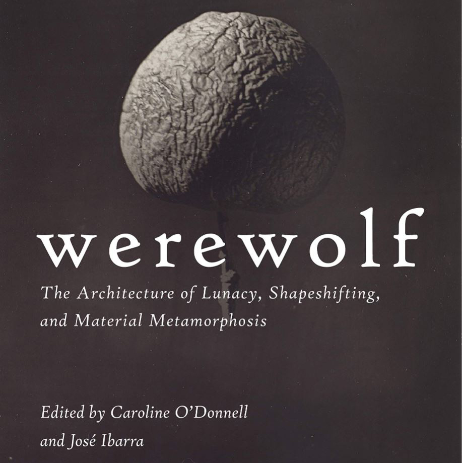 werewolf bookcover