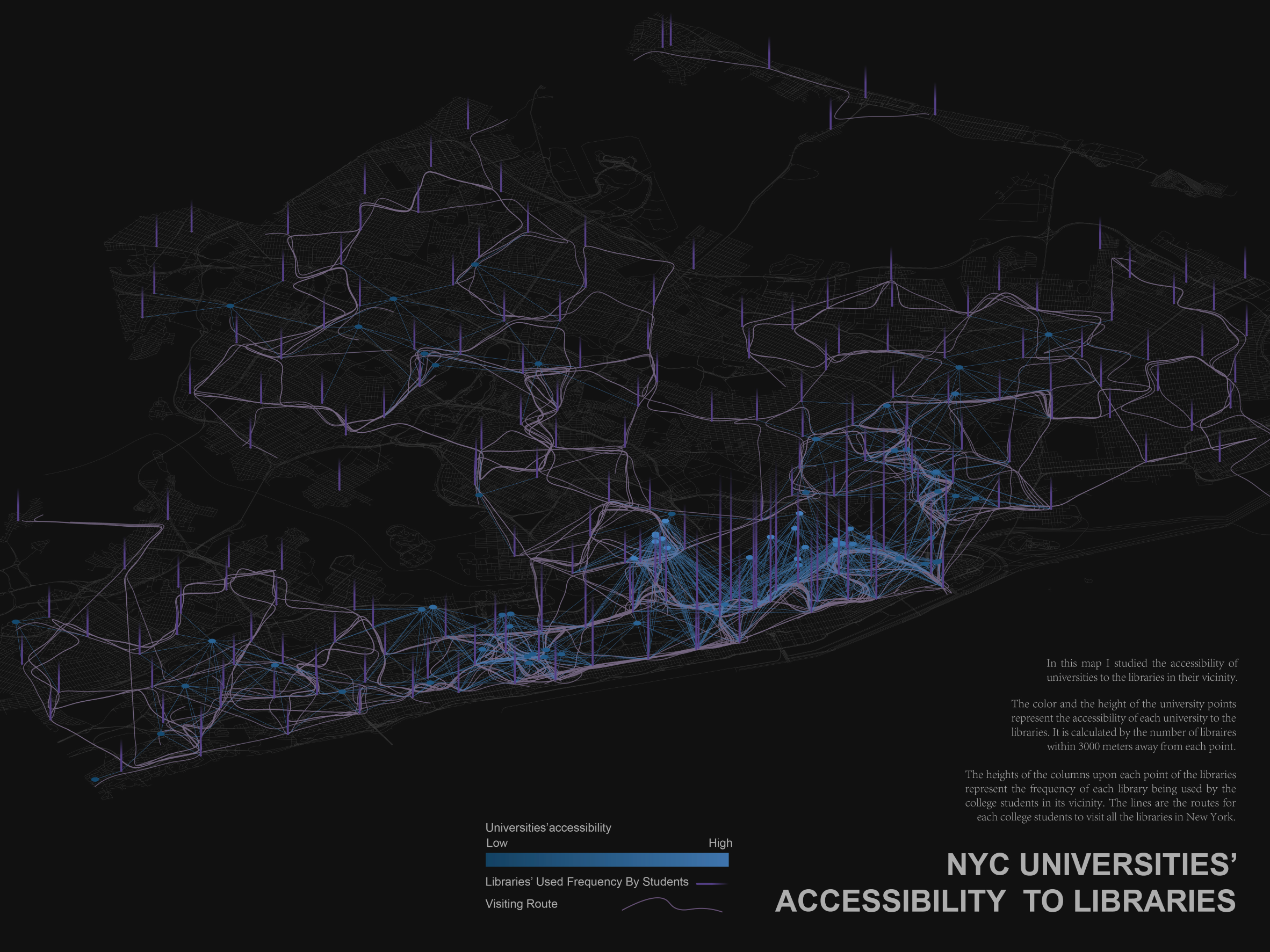 NYC University Access to Libraries by Lulin He