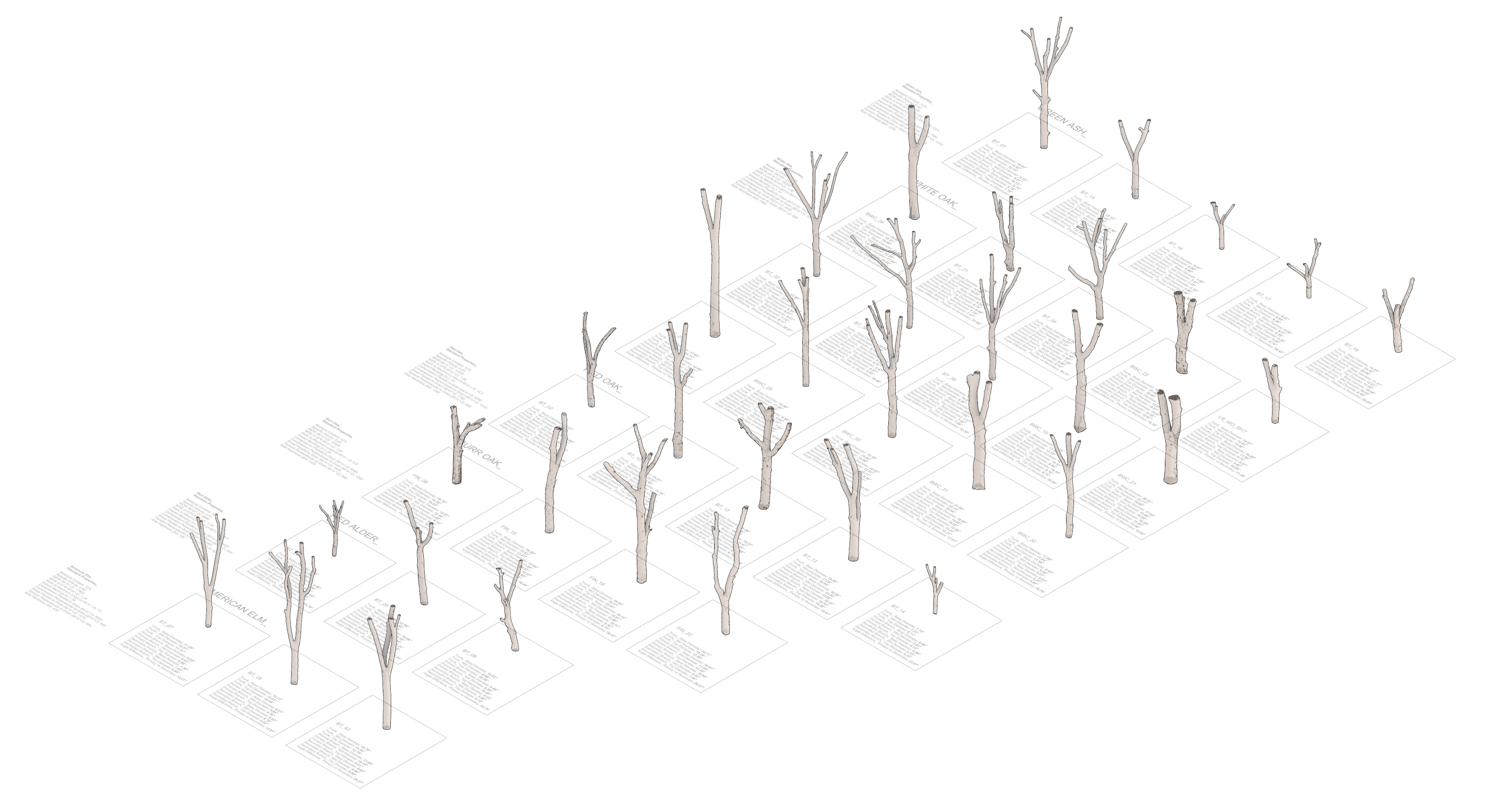 Digital tree library