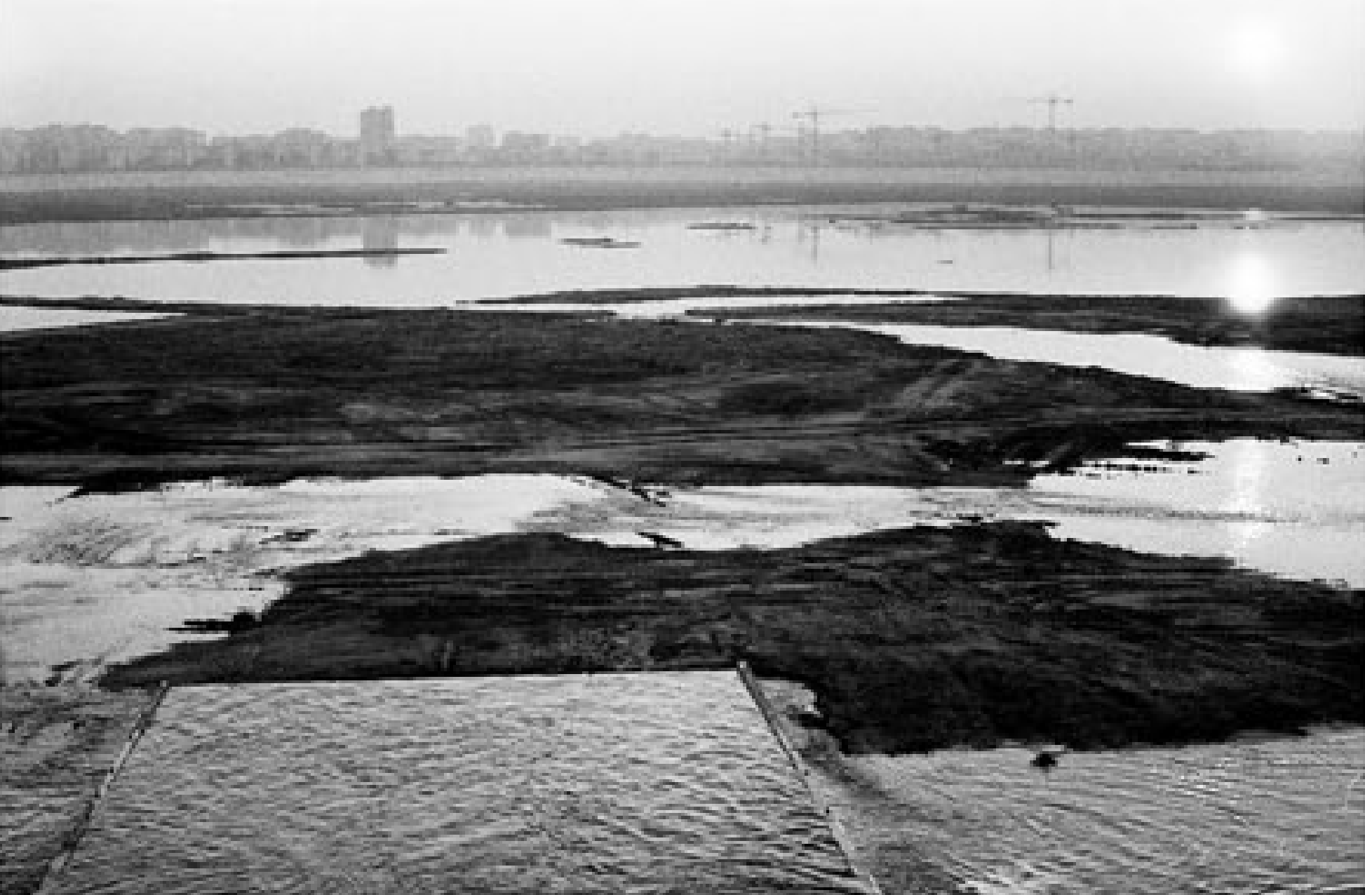 black and white image of tidal pools