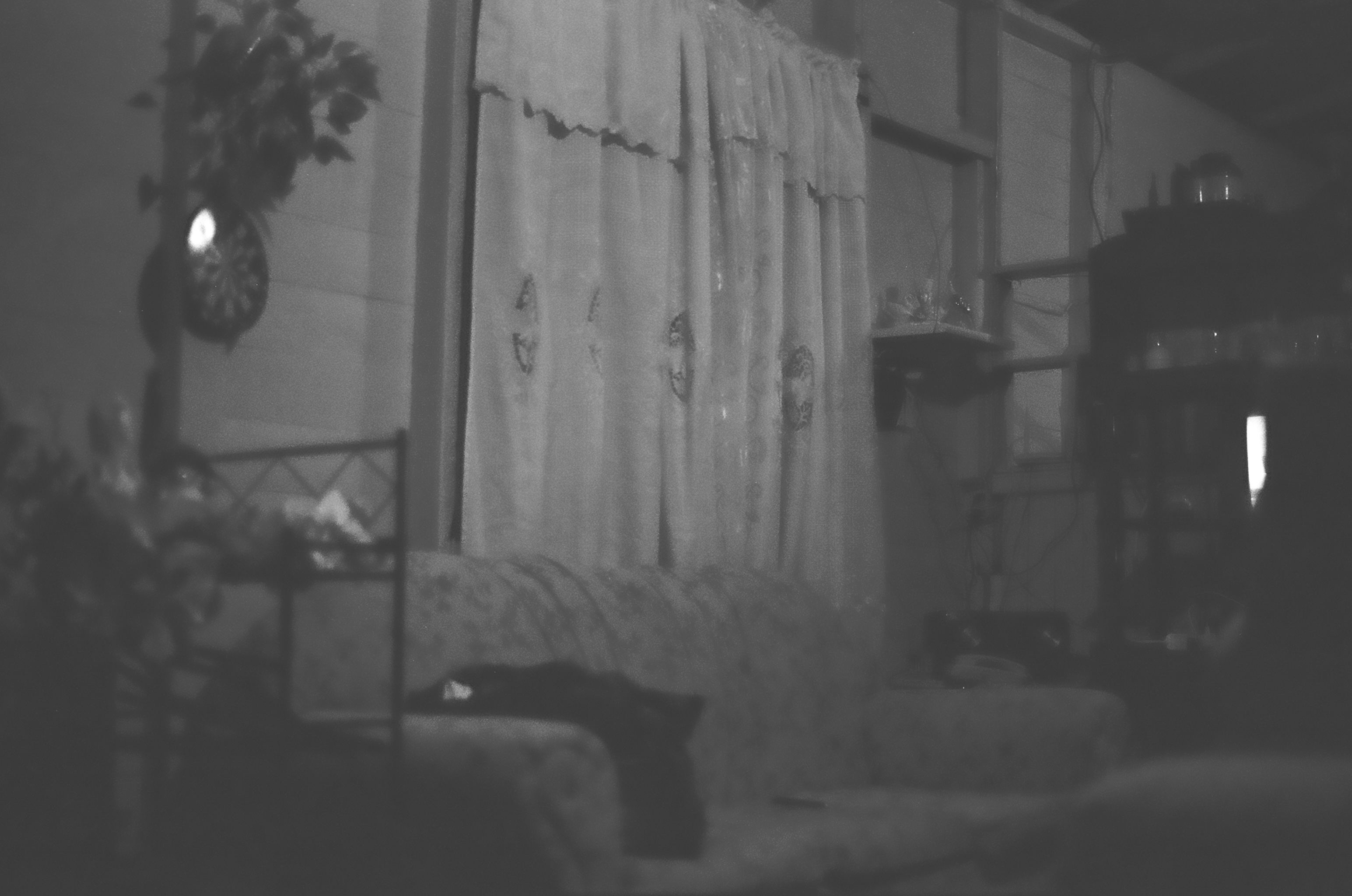 black and white photo of home interior