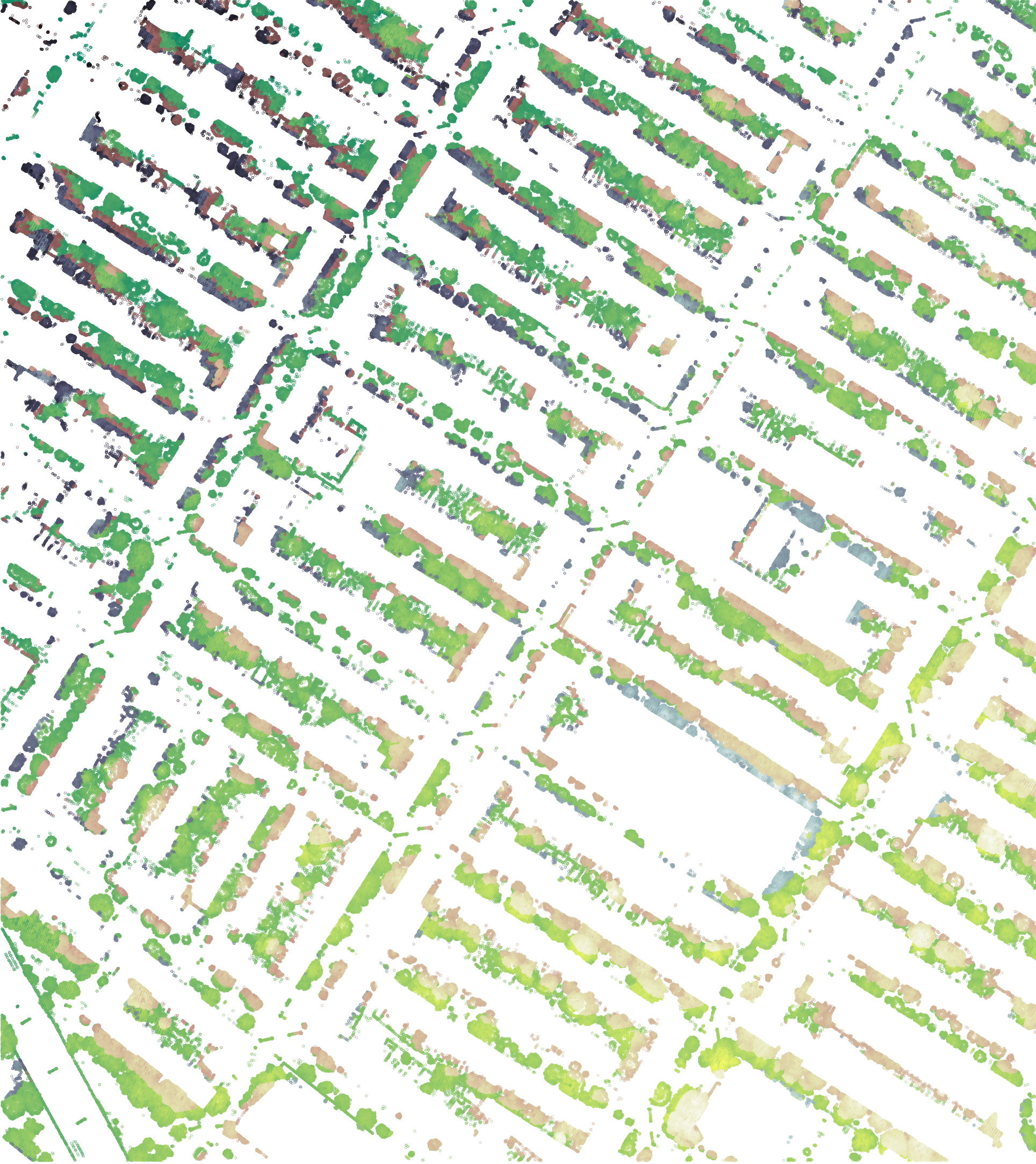 Image of tree canopies of Park Slope in Brooklyn, NYC