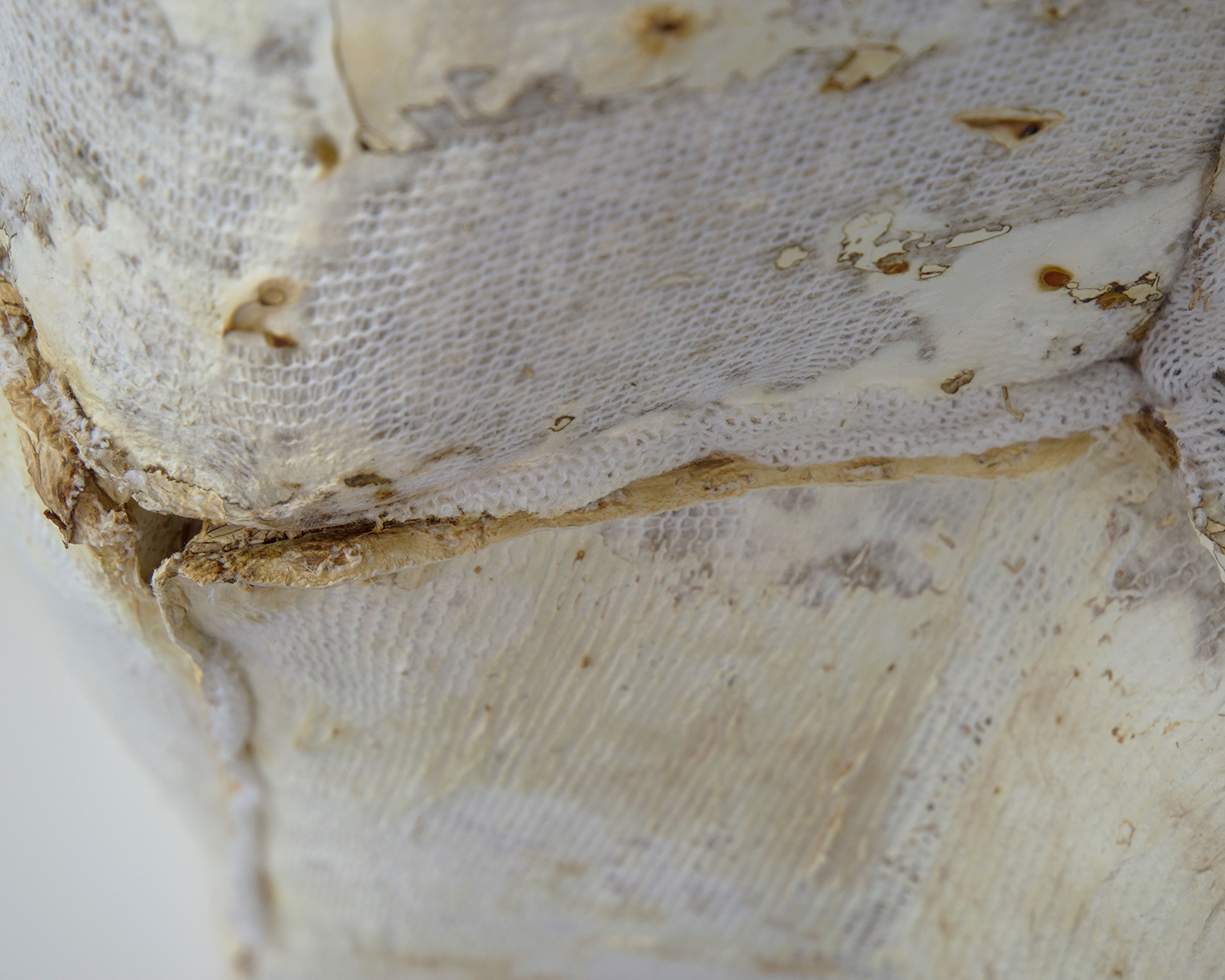 Knitted mycelium closeup