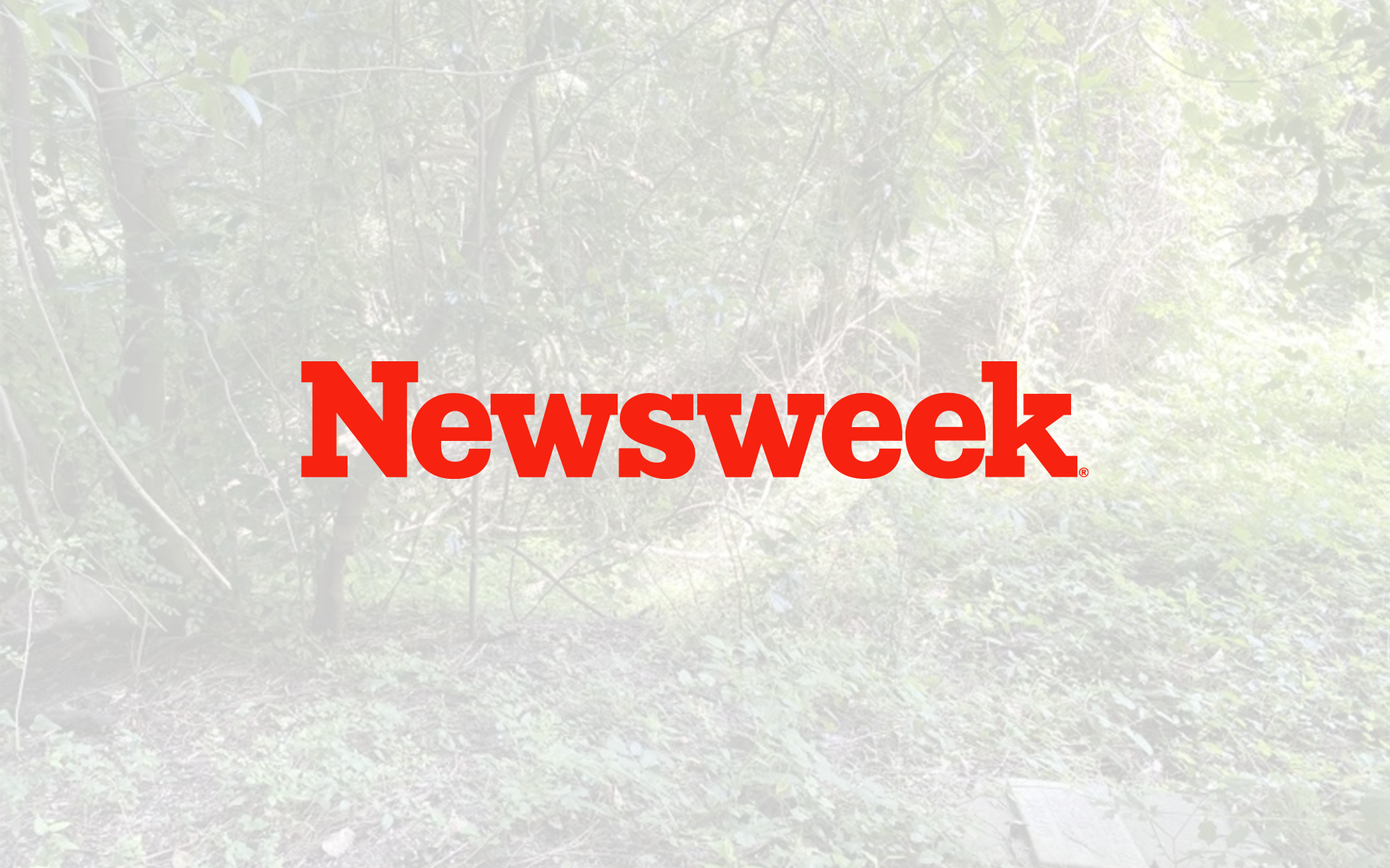 News week logo