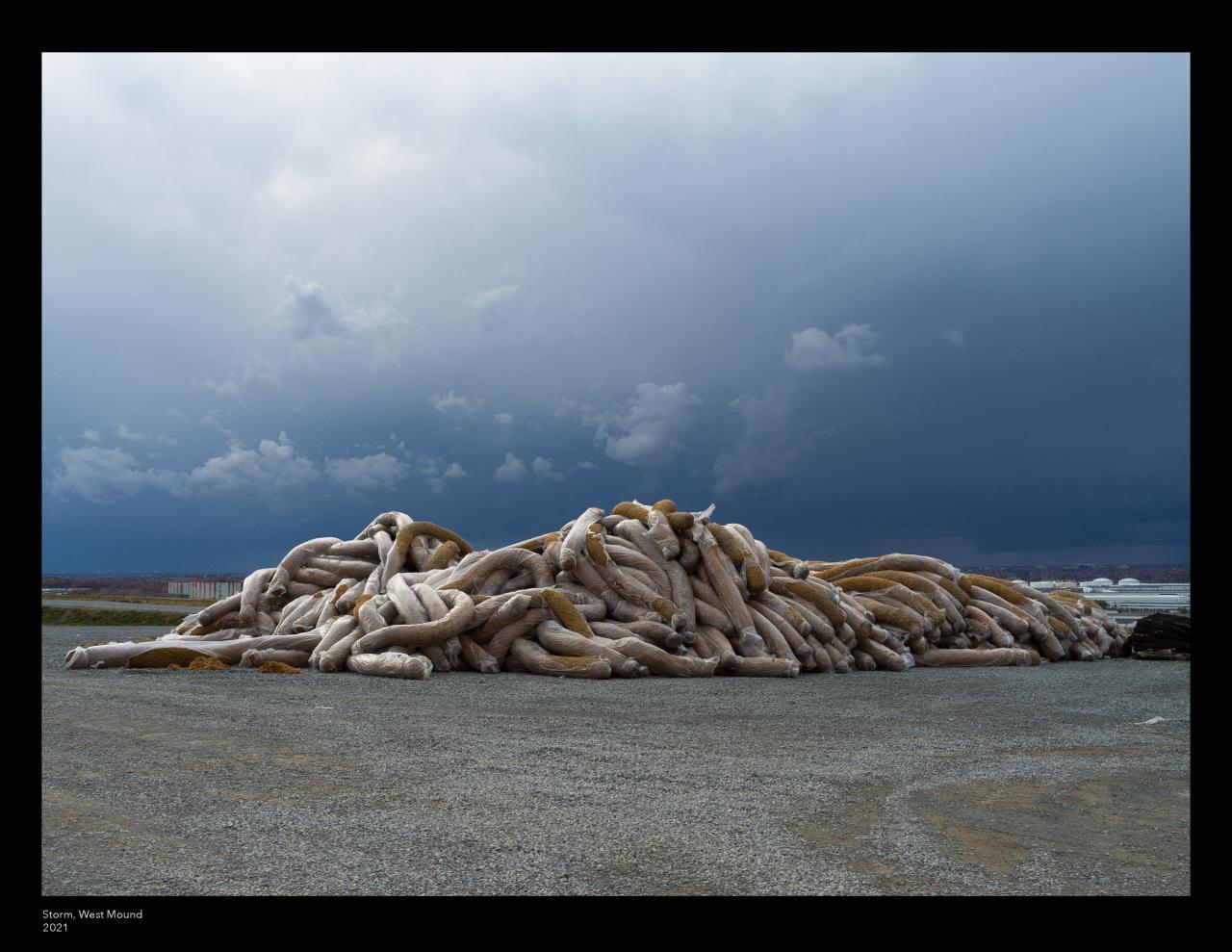 Photograph by Jade Doskow.