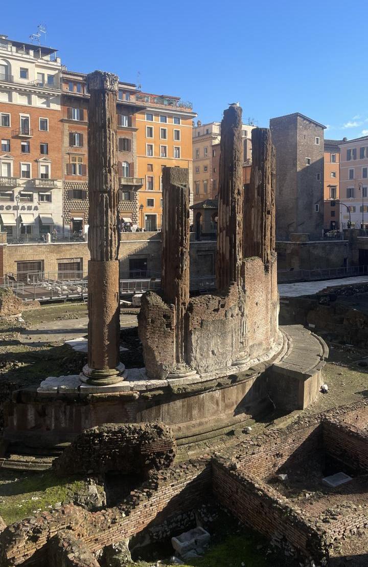 Photo of Torre Argentina Cat Sanctuary at the the ancient ruins of Largo di Torre Argentina. This site is very near to the Cornell in Rome program at Palazzo Santacroce.