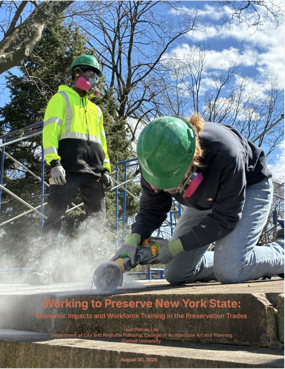 Working to Preserve New York State report cover