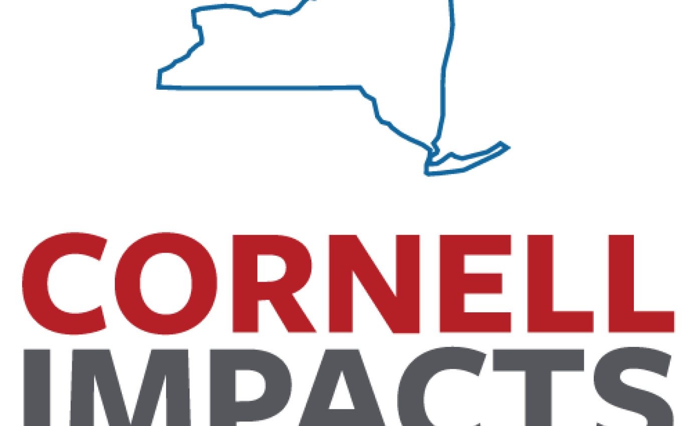 Cornell Impacts