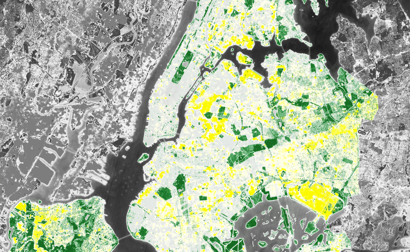 Satellite image of vegetation cover and solar irradiance for New York City