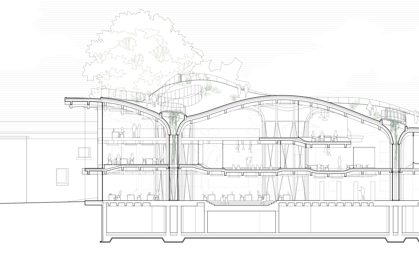 Technical section drawing showing a three-story library building with a freeform roof.