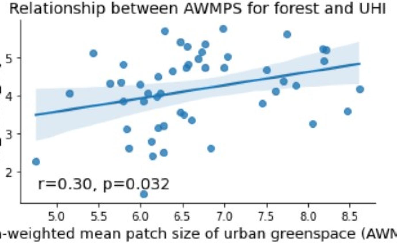 patch size and green space