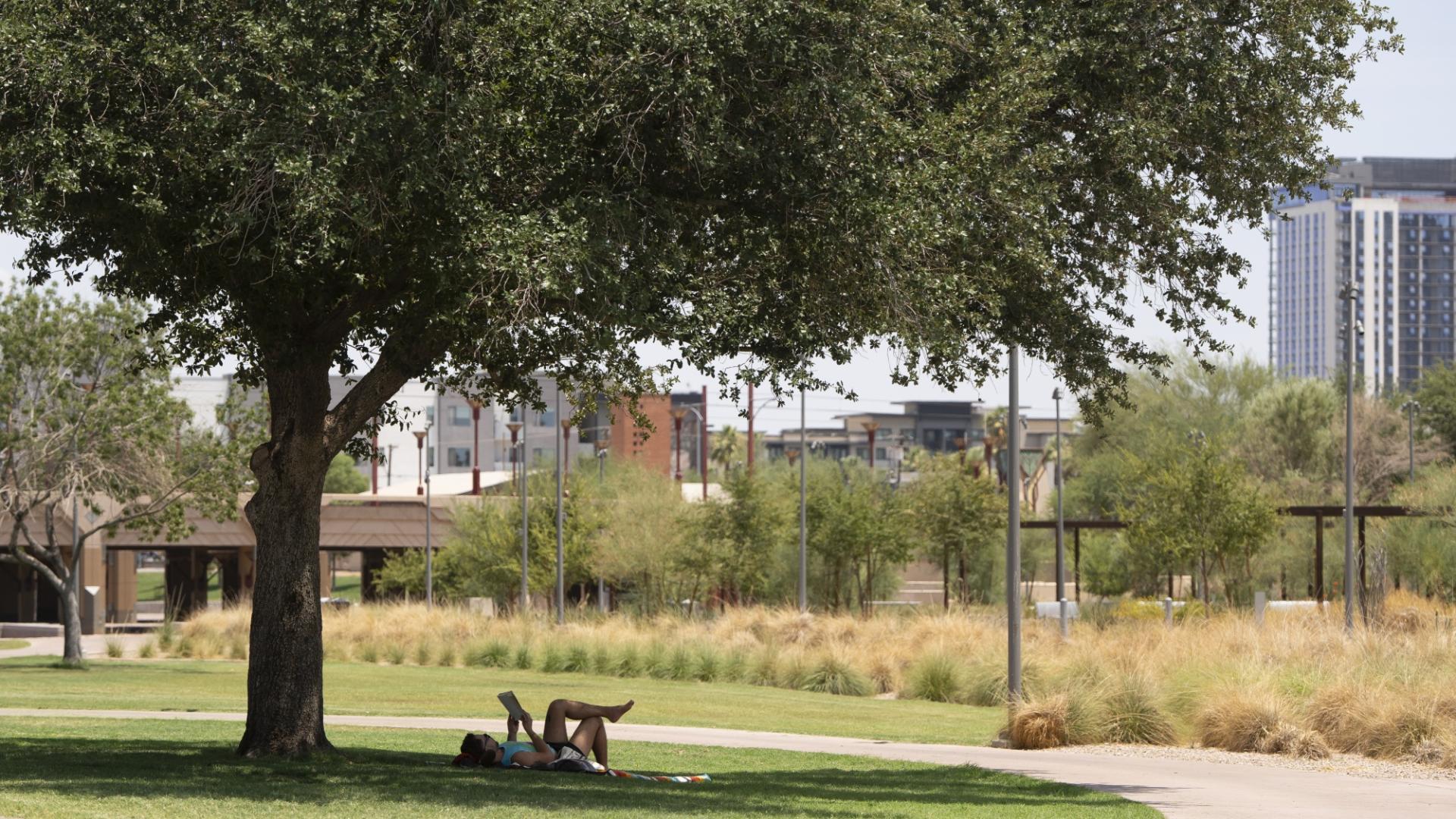 Image of woman laying down and reading a book in the shade of a tree.